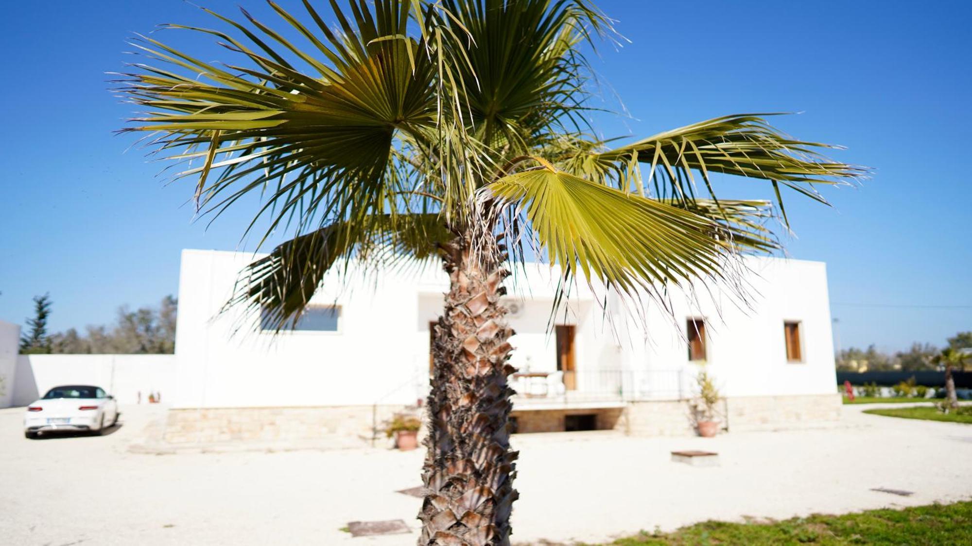 Villa Mia San Ligorio Exterior foto