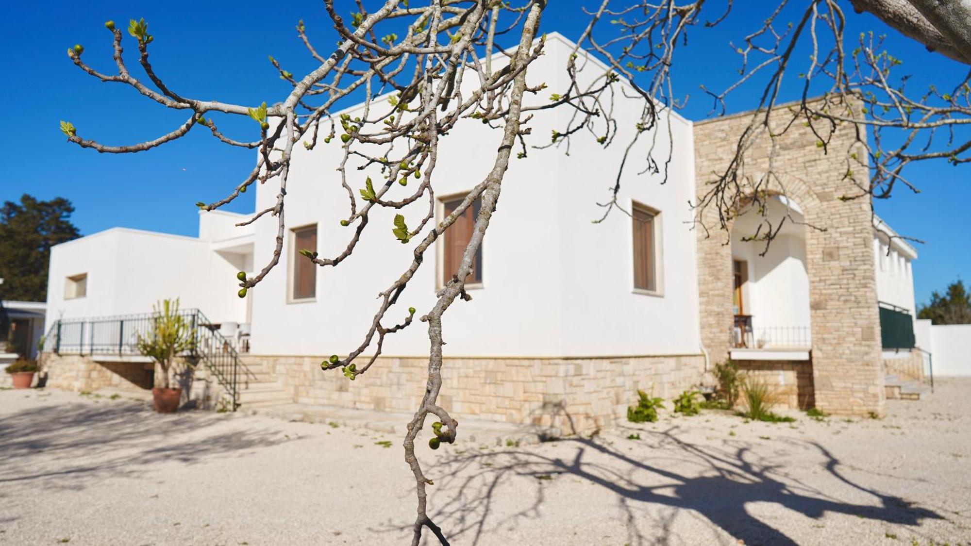 Villa Mia San Ligorio Exterior foto